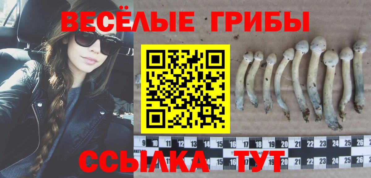 Псилоцибиновые грибы Psilocybe Аргун