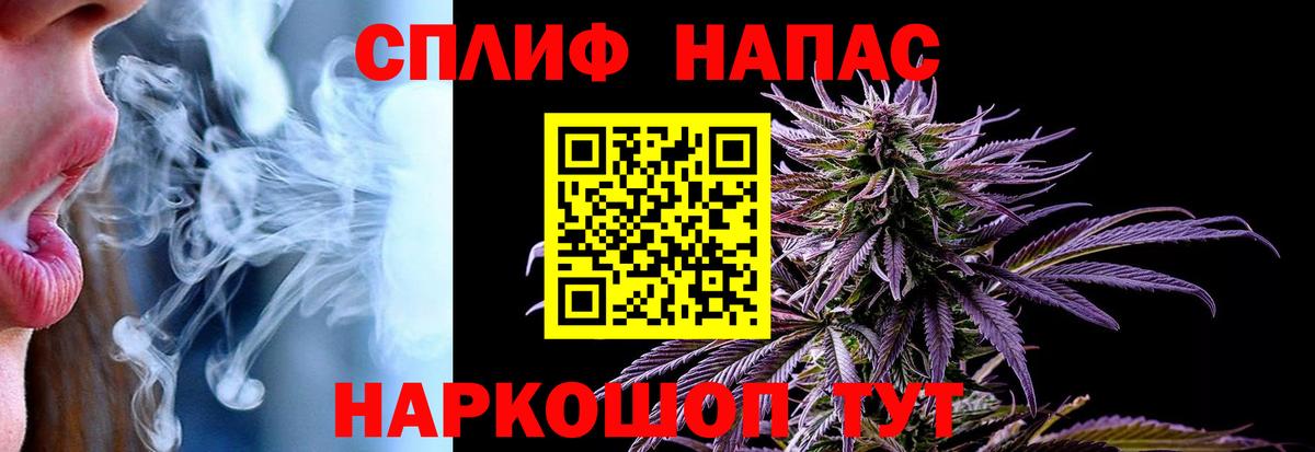 Каннабис планчик Аргун
